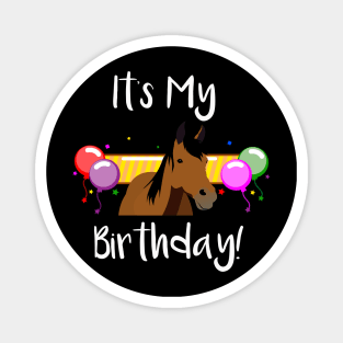 It's My Birthday Horse Magnet